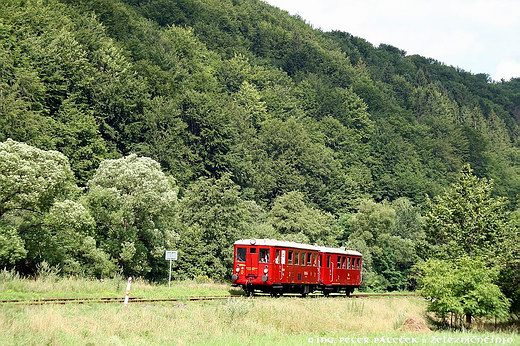 Gemerský expres