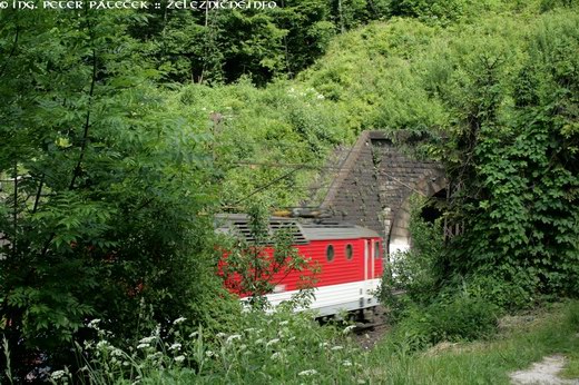 Bujanovský tunel