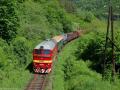 MDC SR, poiarny vlak, tra 170, 28.5.2010