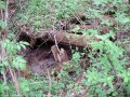 Tunel pod Dielikom - Tisovec