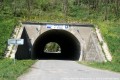 Pansk tunel