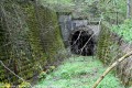 tunel Dielik