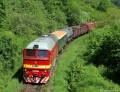 T 679.1168 na po�iarnom vlaku, 28.5.2010