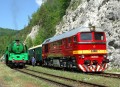 T 679.1168, Harmanec jasky�a., 28.5.2010