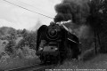 475.196,Tur�ek, tra� 171, 4.6.2011