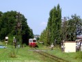 koajisko, 20.8.2005