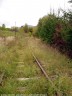 tra 174,