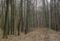 stopy lesnej �eleznice
