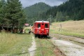 Dobinsk adov Jaskya, tra 173, 26.7.2014