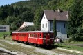 po prchode vlaku z Koc, tra 166, 29.8.2014